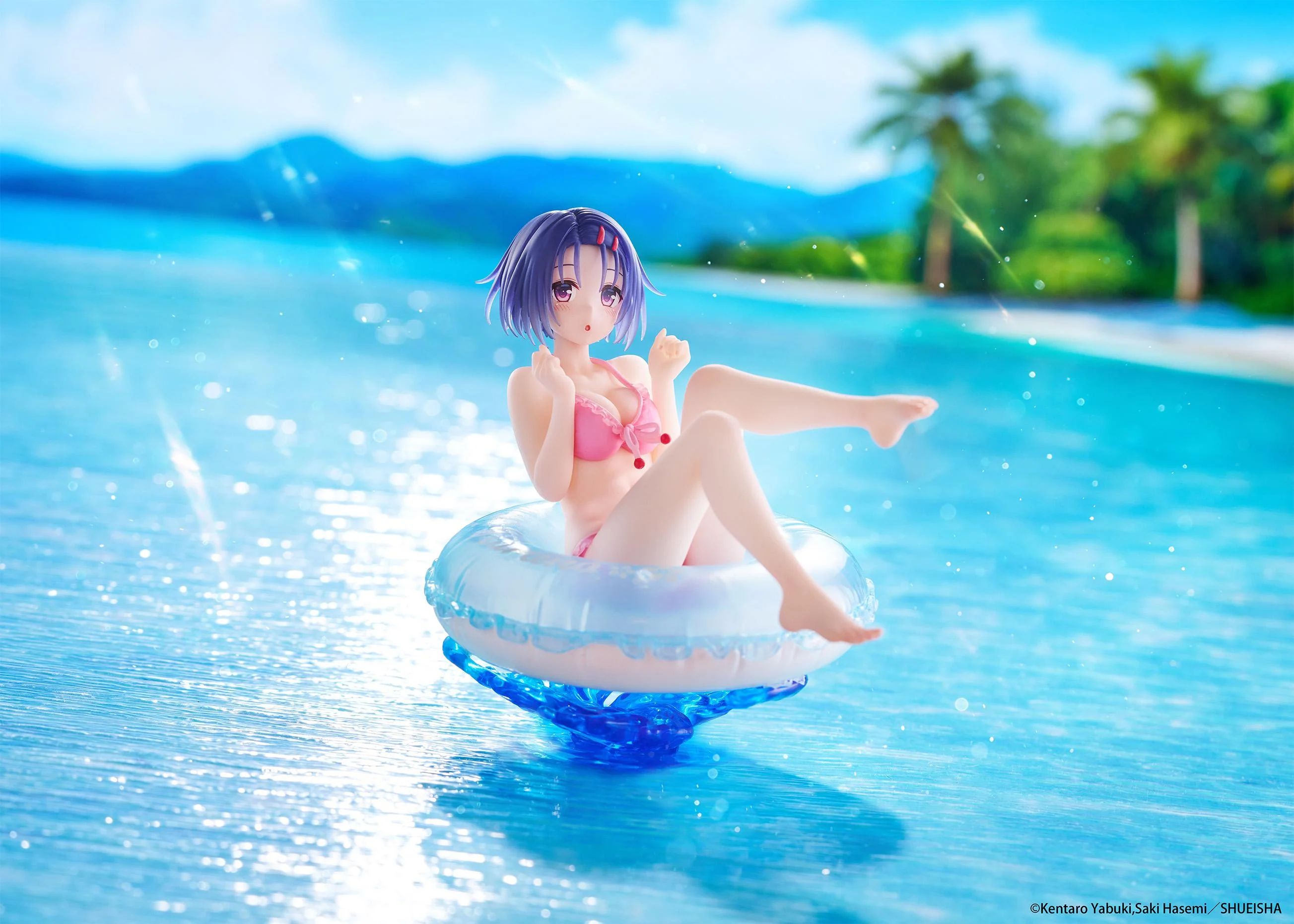 Thumbnail 10